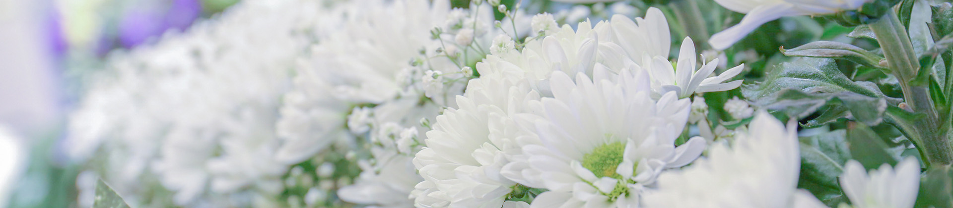 キービジュアル