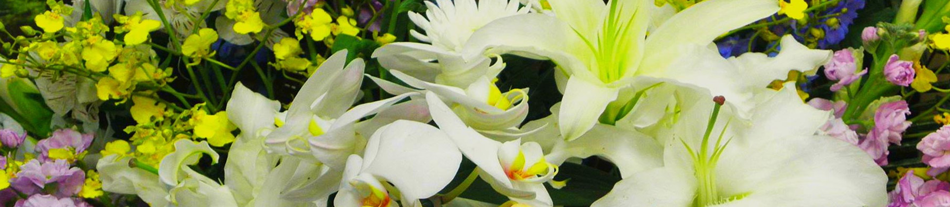 キービジュアル